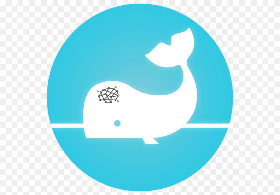 Ai Forecasts Amp Bots Seagull Icon, Cap, Clothing, Hat, Animal Free Png