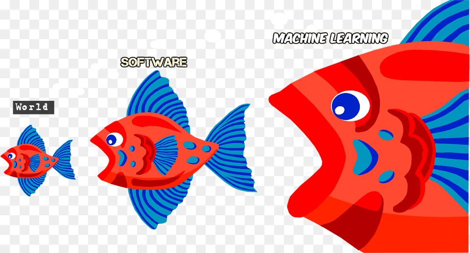 Ai Is Eating Software, Animal, Fish, Sea Life, Dynamite Png