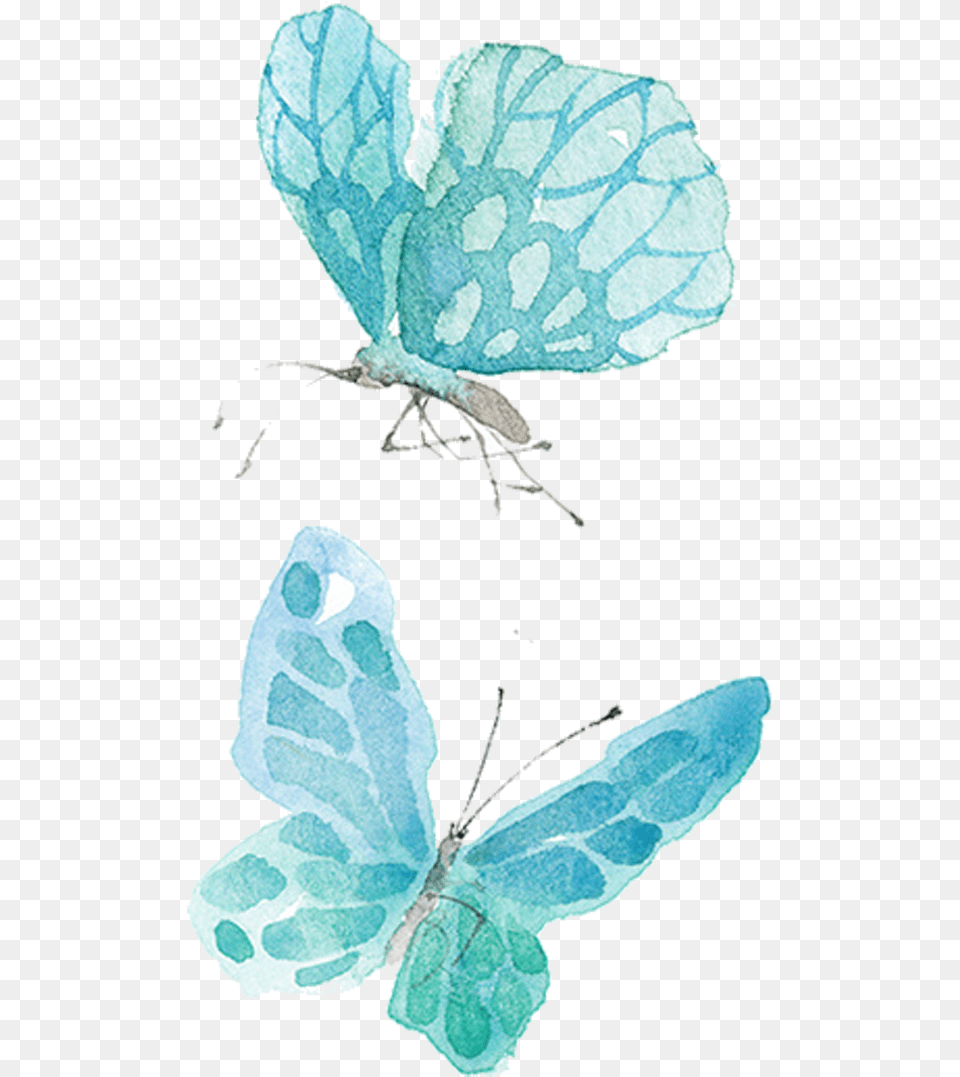 Ai Vector Watercolor Butterfly Blue Butterfly Watercolour, Leaf, Plant, Animal, Reptile Png Image