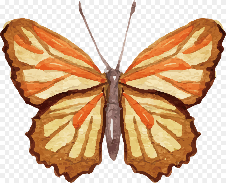 Ai Vector Watercolour Butterfly, Animal, Insect, Invertebrate, Moth Png