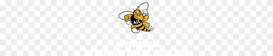 Aic Yellow Jackets Camps, Animal, Apidae, Bee, Bumblebee Free Png Download
