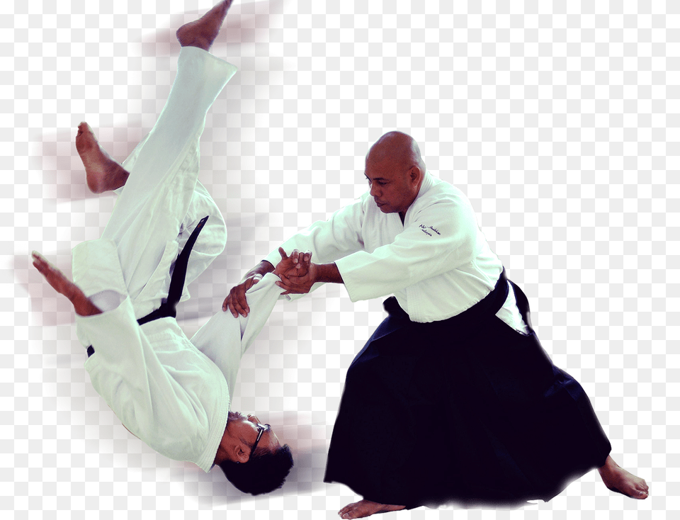 Aikido, Adult, Body Part, Person, Man Free Png