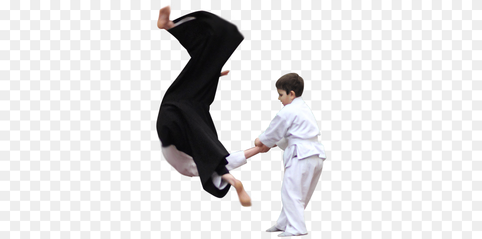 Aikido, Sport, Person, Martial Arts, Adult Free Png Download