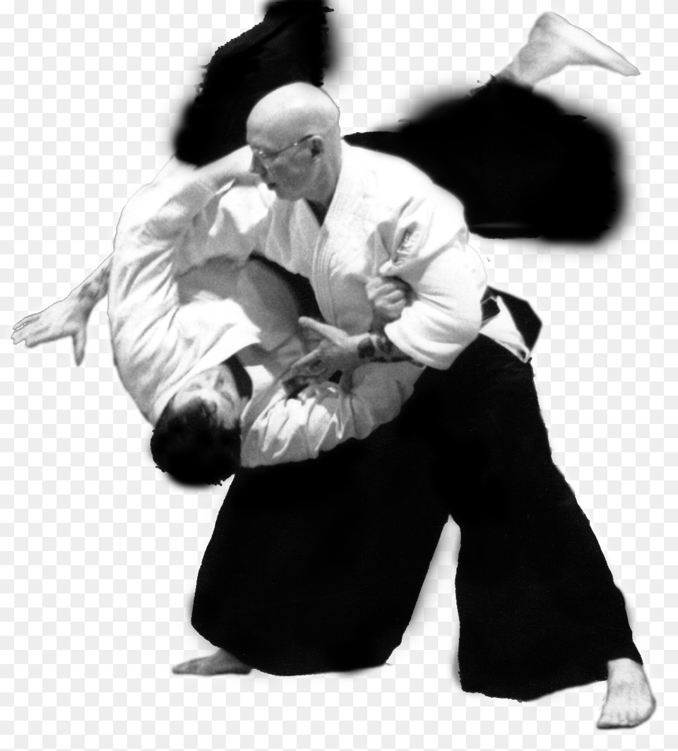 Aikido, Adult, Person, Martial Arts, Man Free Png