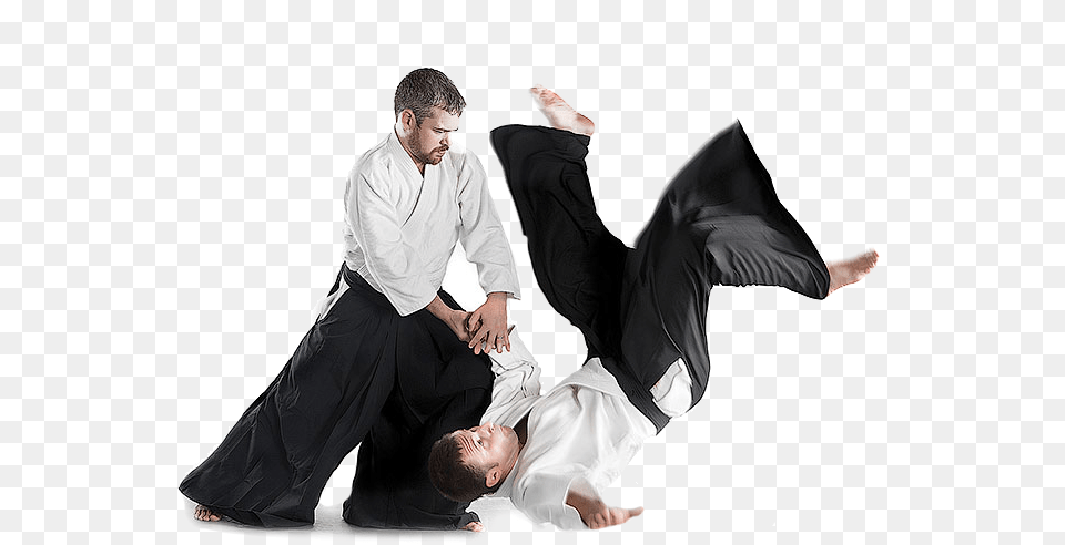 Aikido, Adult, Male, Man, Person Free Png