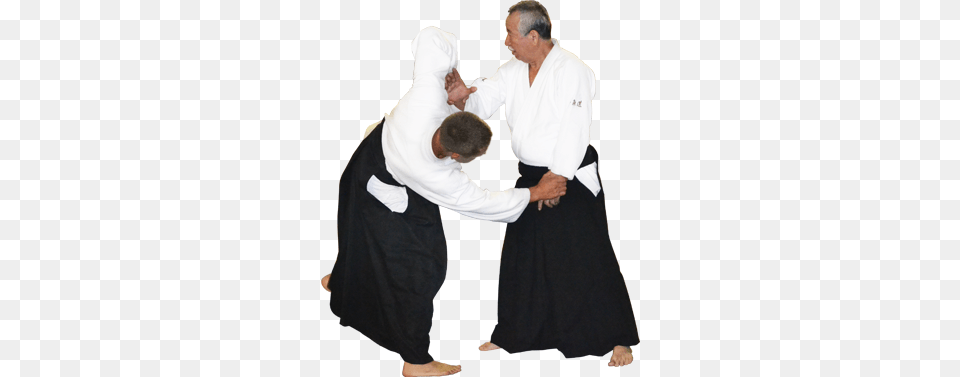 Aikido, Judo, Martial Arts, Person, Sport Free Png