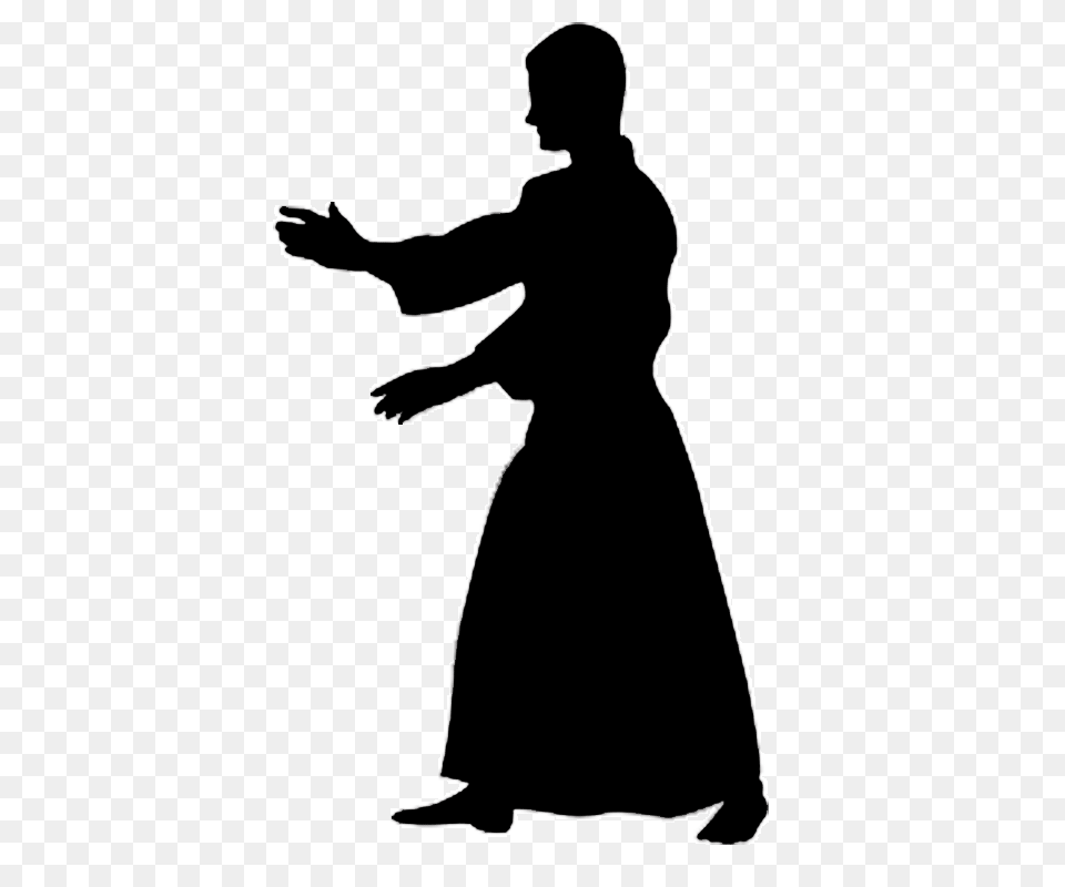 Aikido, Silhouette, Adult, Female, Person Png