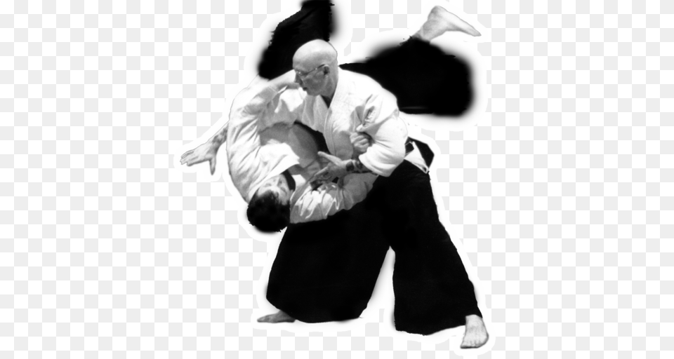 Aikido, Adult, Person, Martial Arts, Man Png Image