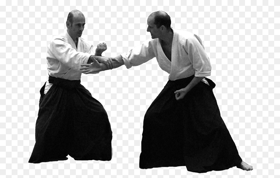 Aikido, Adult, Person, Man, Male Free Png Download
