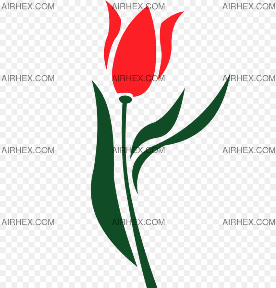 Air Bucharest Logo Airline Logos Vertical, Flower, Plant, Rose, Tulip Png Image