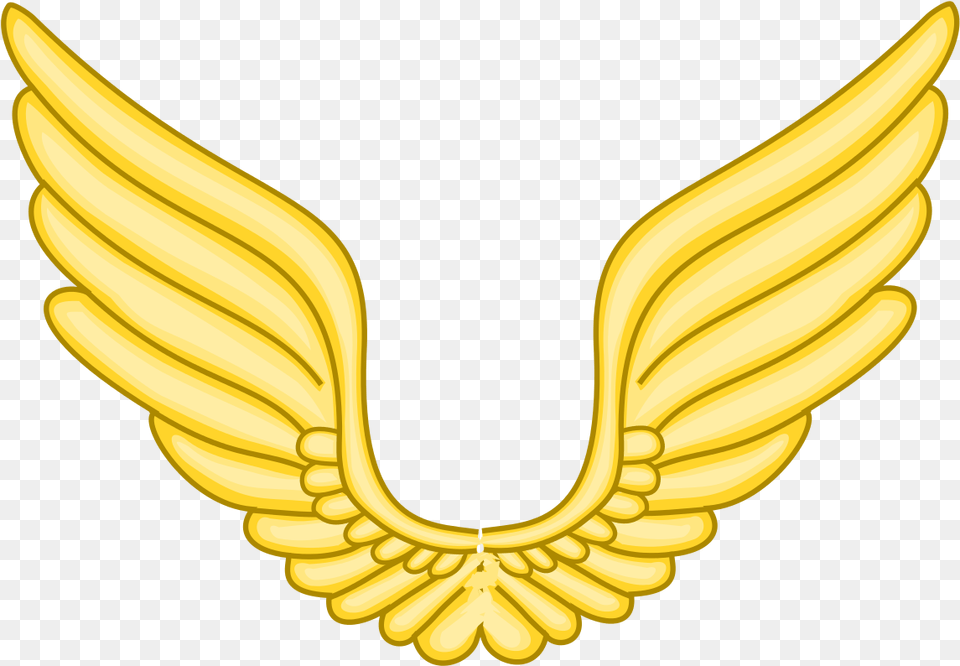 Air Force Coat Of Arms, Emblem, Symbol, Gold Free Png