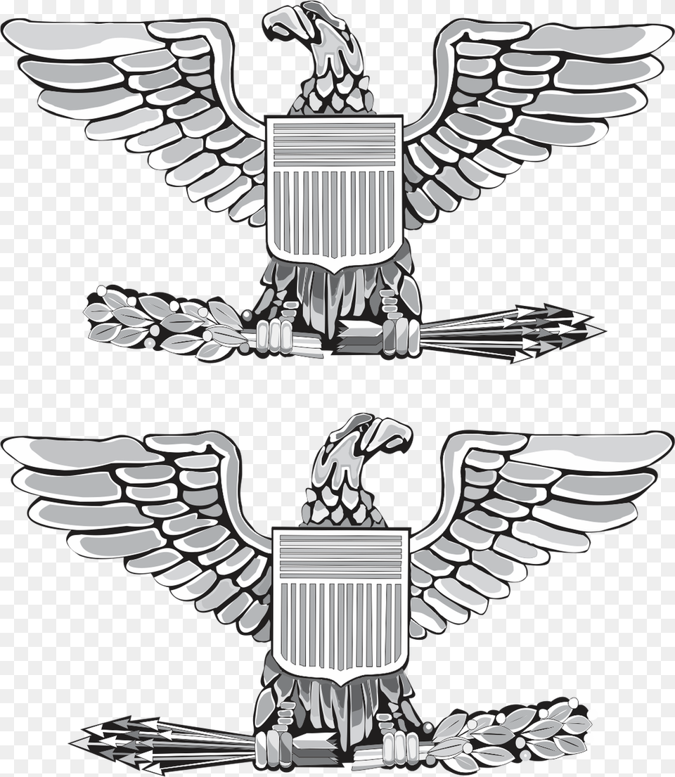 Air Force Colonel Ranks, Emblem, Symbol, Animal, Bird Png Image