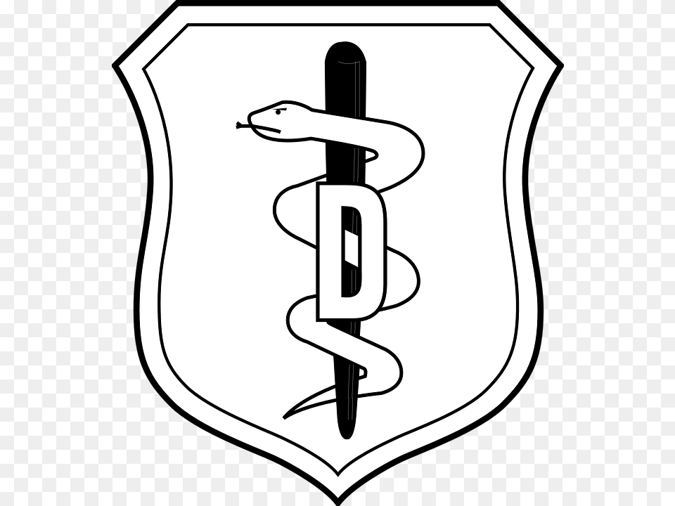 Air Force Nurse Symbol, Armor, Shield Png
