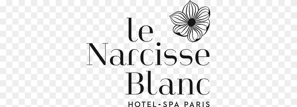 Air France And Delta Air Lines Are The Official Airlines Narcisse Blanc Hotel Logo, Gray Png