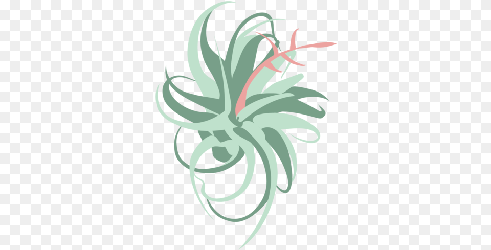 Air Plant City Logo Images 13 Illustration, Art, Floral Design, Graphics, Pattern Free Png