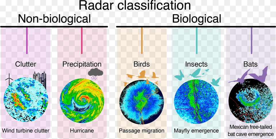 Air Traffic Control Bird Radar, Turquoise, Nature, Outdoors Free Png Download