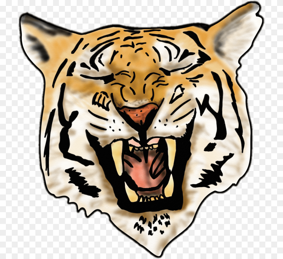 Airbrush Tiger Desenho Tigre, Person, Animal, Mammal, Wildlife Png Image