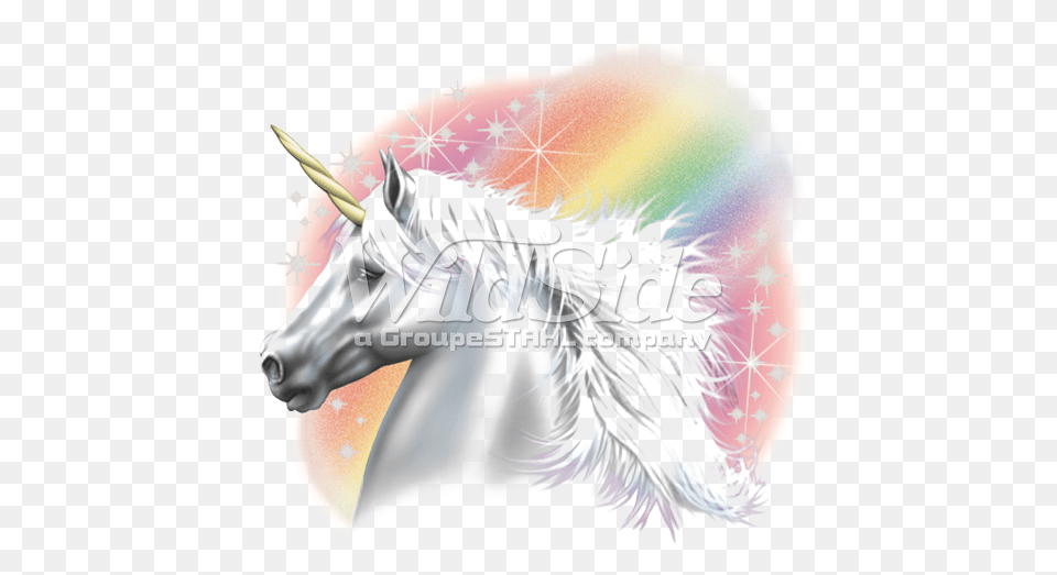 Airbrush Unicorn With Rainbow Unicorns And Rainbows, Animal, Horse, Mammal Free Png