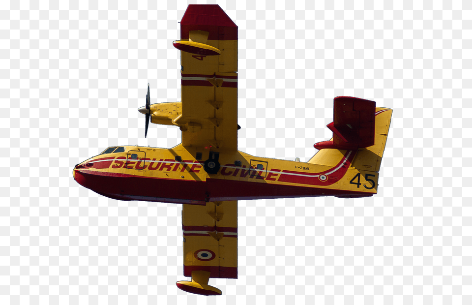 Aircraft Animal, Bird, Flying, Airplane Free Png Download