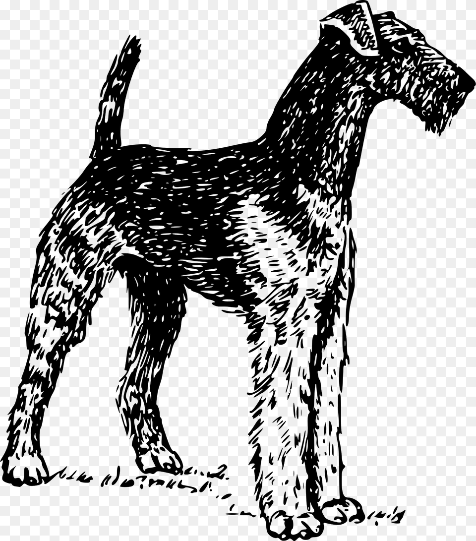 Airedale Clipart, Animal, Canine, Dog, Mammal Free Transparent Png