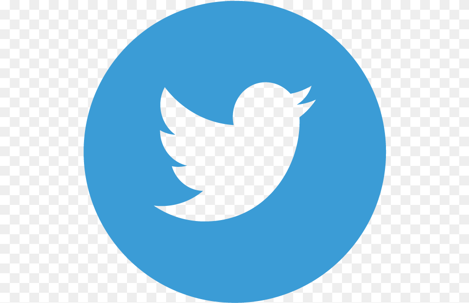 Airport News U0026 Announcements City Of Redding Twitter Logo, Animal, Bird, Blackbird Png