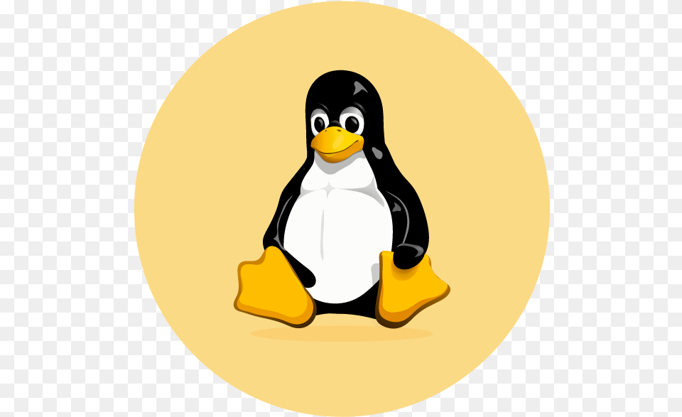 Airserver For Embedded Linux Tux Linux, Animal, Bird, Penguin Free Png Download