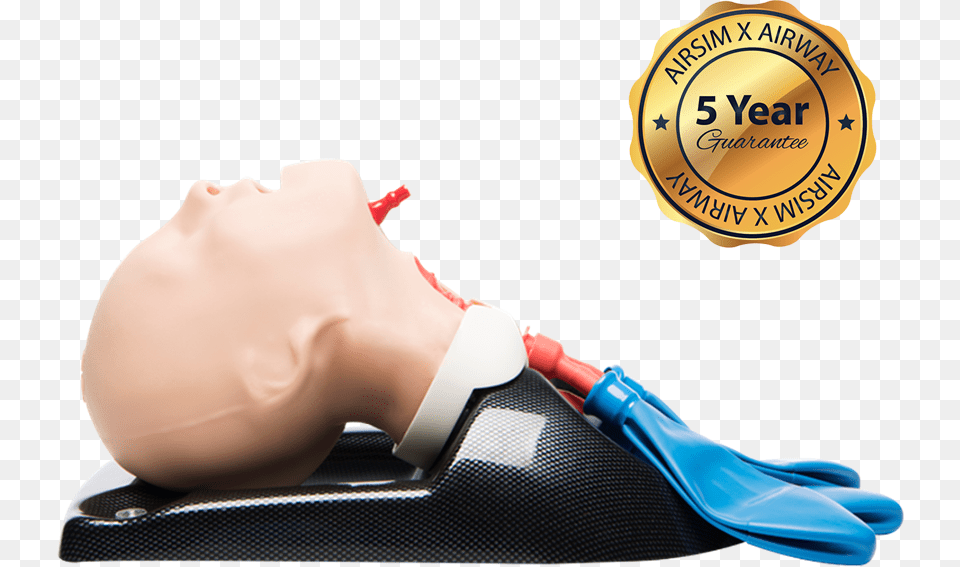 Airsim Child Combo X Manikin Pediatric Intubation Amp Airway Management, Adult, Person, Neck, Head Free Transparent Png