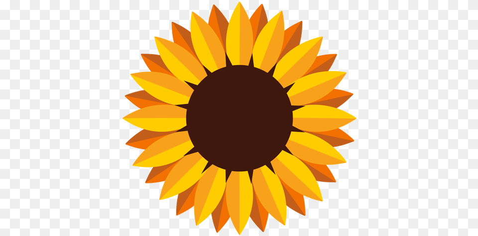 Aislada De La Cabeza Del Girasol Sunflower Graphic, Flower, Plant Png Image