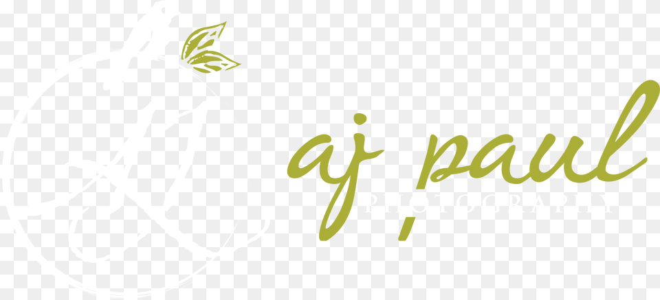 Aj Photography Logo Hd Aj Logo Hd, Handwriting, Text, Animal, Bird Free Png