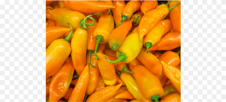 Aji Zanahoria Aji Pepper, Food, Plant, Produce, Vegetable Png