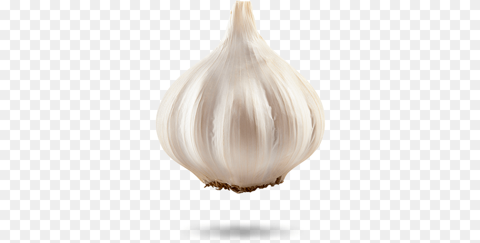 Ajo Cabeza De Ajo, Food, Produce, Garlic, Plant Free Png