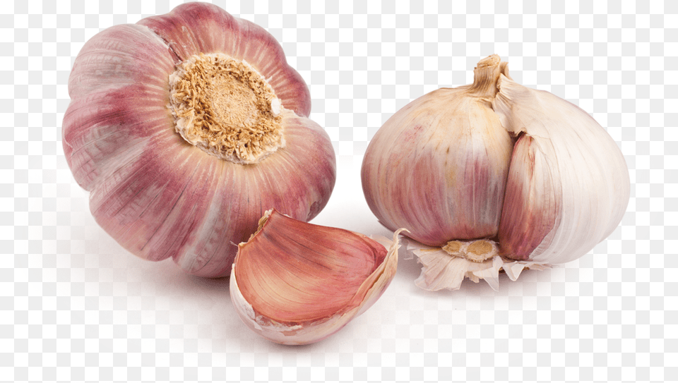 Ajo Morado Garlic Purple, Food, Produce, Plant, Vegetable Free Png Download
