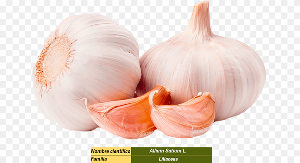 Ajo Multi Functional Mini Grater Garlic Press, Food, Produce, Plant, Vegetable Free Transparent Png