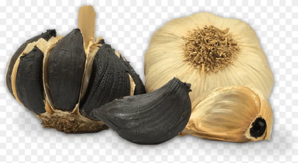 Ajo Negro Black Garlic, Food, Produce, Plant, Vegetable Free Png Download