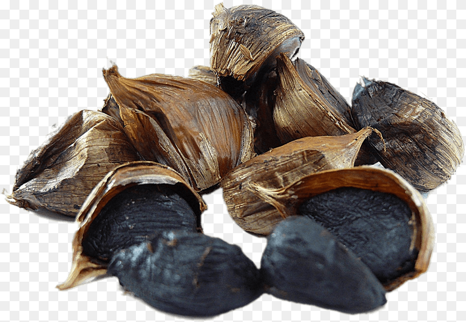 Ajo Negro Black Garlic, Animal, Clam, Food, Invertebrate Png Image