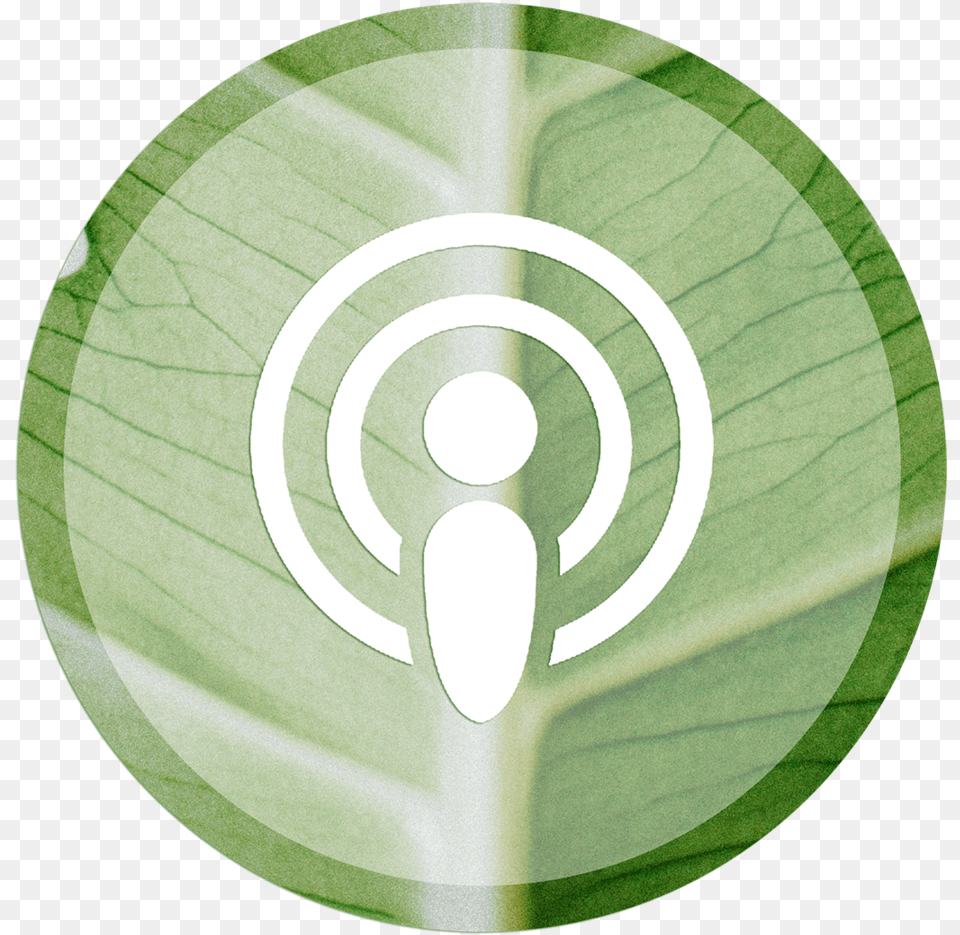 Ajp Web Podcast, Leaf, Plant, Spiral, Coil Free Png