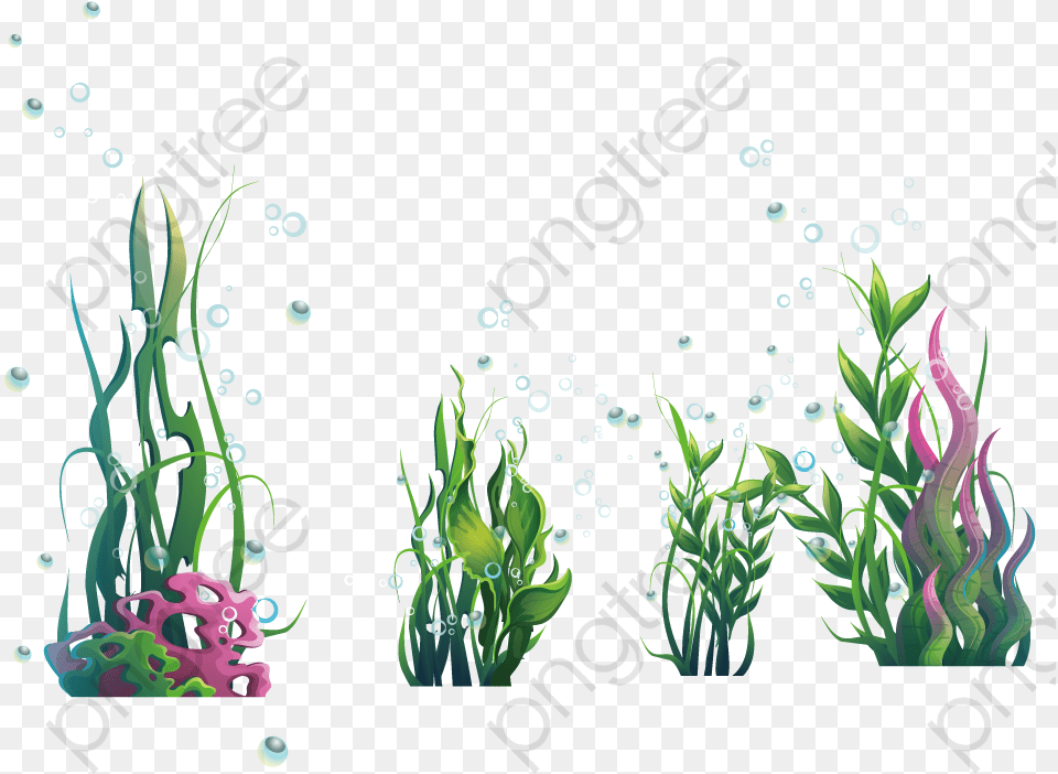 Ak 47 Vector Transparent Background Seaweed Clipart, Art, Graphics, Plant, Floral Design Png