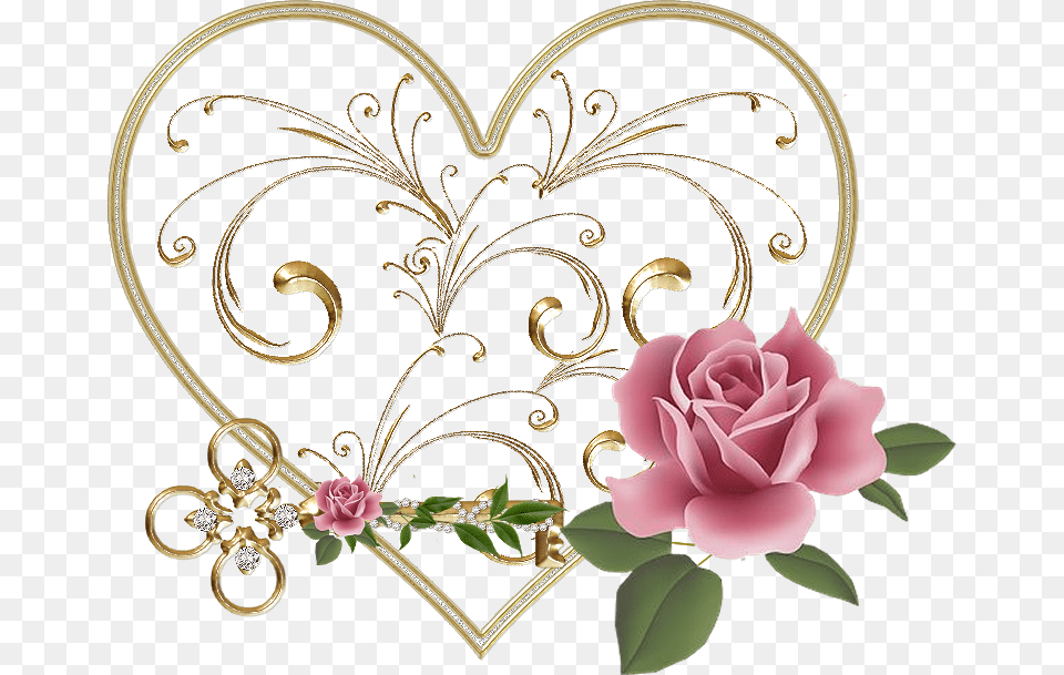 Aka Pink Tea Rose, Plant, Flower, Pattern, Accessories Png