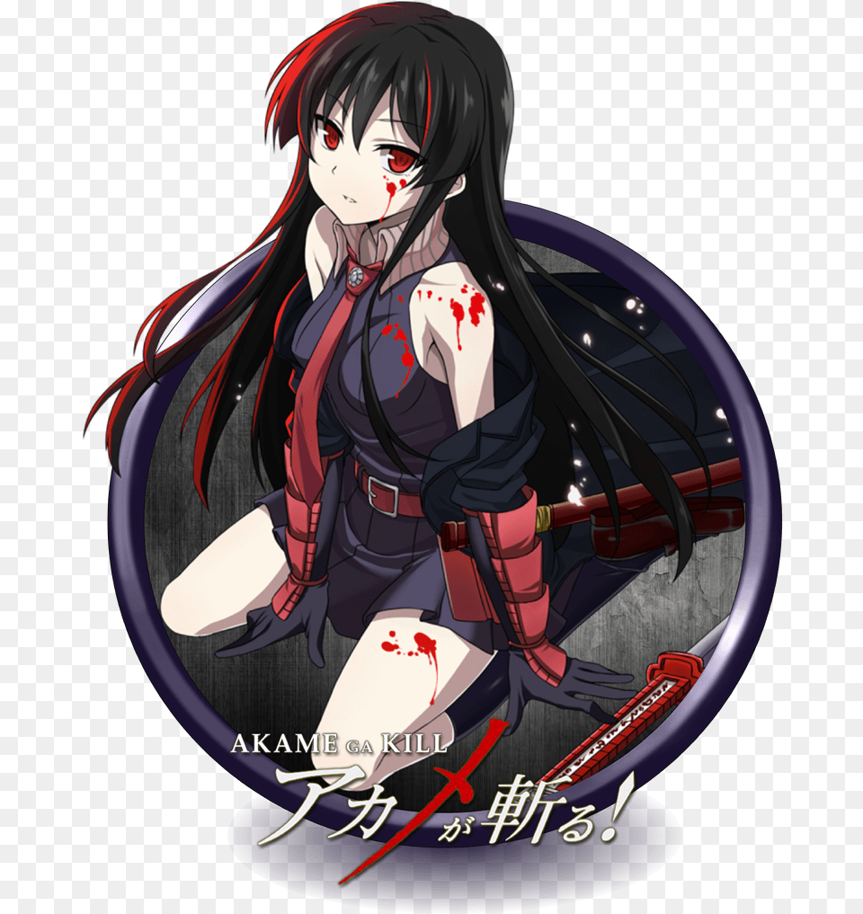 Akame Akame Ga Kill, Book, Comics, Publication, Adult Png Image