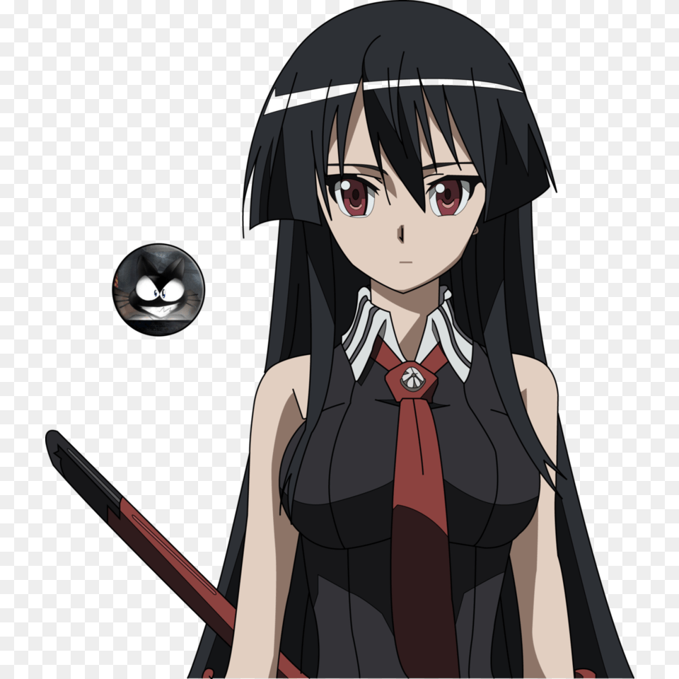 Akame By Bestbt D8zw5xb Akame Ga Kill Akame Transparent, Publication, Book, Comics, Adult Png Image