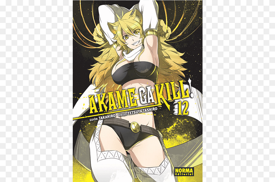 Akame Ga Kill, Book, Comics, Publication, Person Free Png