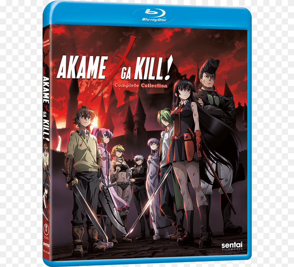 Akame Ga Kill, Adult, Publication, Person, Woman Free Transparent Png