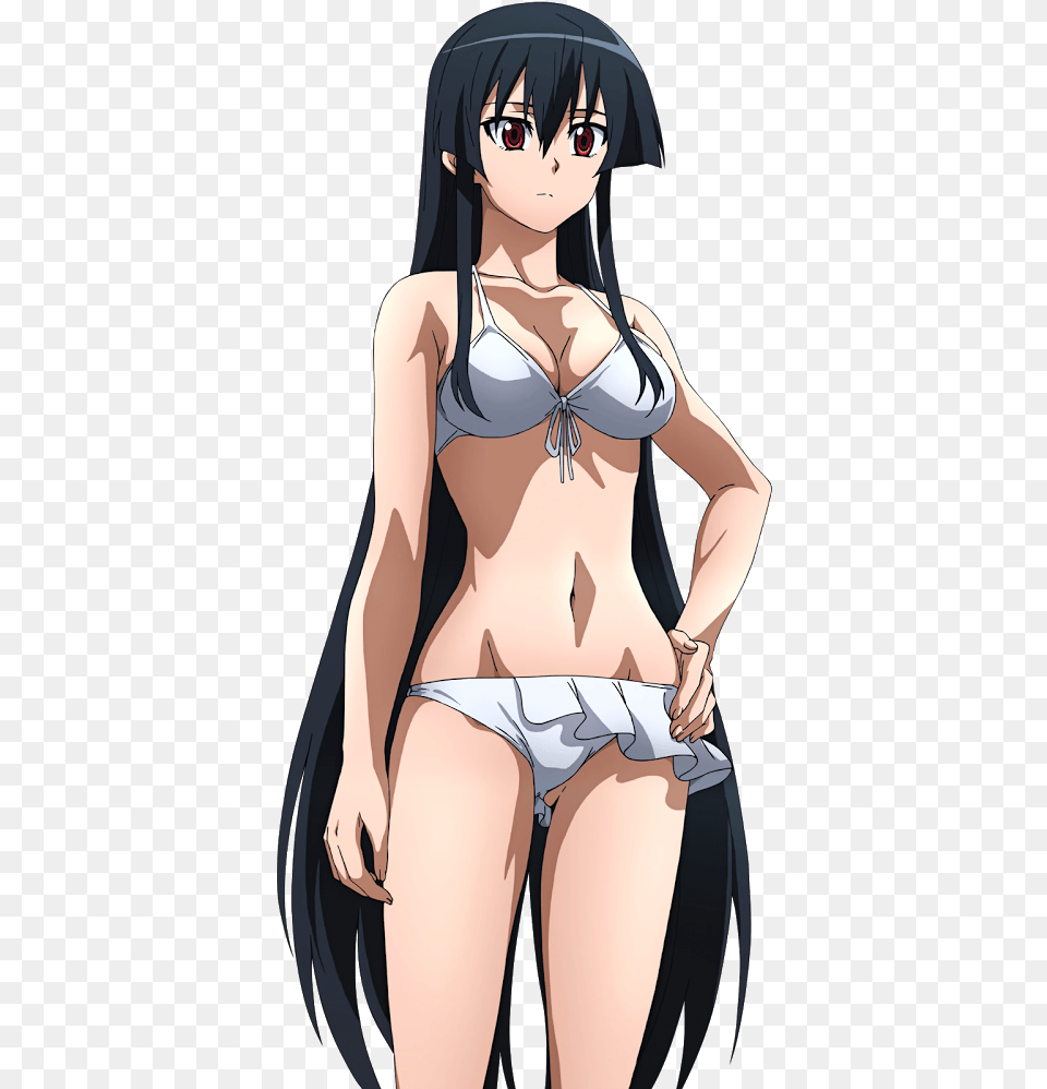 Akame Ga Kill Bikini Hentai, Adult, Publication, Person, Female Png Image