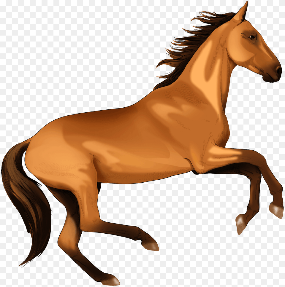 Akhal Teke Horse Clipart, Animal, Colt Horse, Mammal Free Png