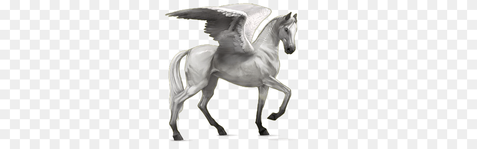Akhal Teke Pegasus Light Gray, Animal, Horse, Mammal, Stallion Free Png Download