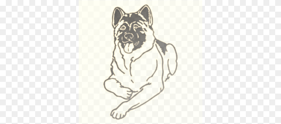 Akita, Animal, Canine, Mammal, Dog Free Png