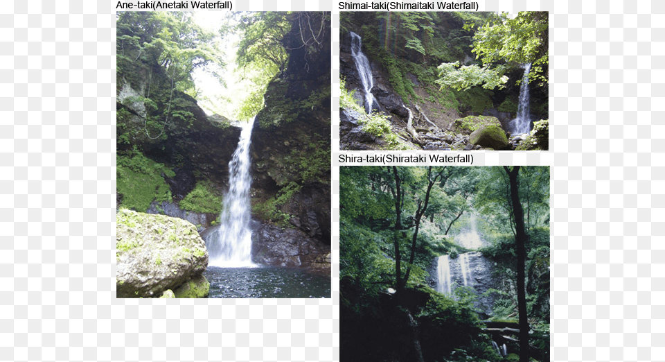 Akiu Otaki Waterfall Waterfall, Water, Vegetation, Tree, Rainforest Free Transparent Png