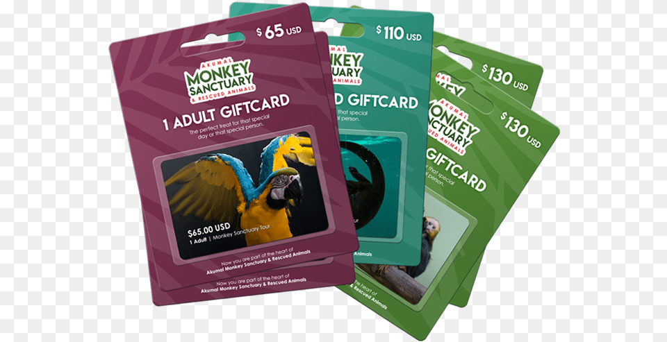 Akumal Monkey Sanctuary Gift Card Is The Perfect Treat Graphic Design, Advertisement, Poster, Animal, Bird Free Transparent Png