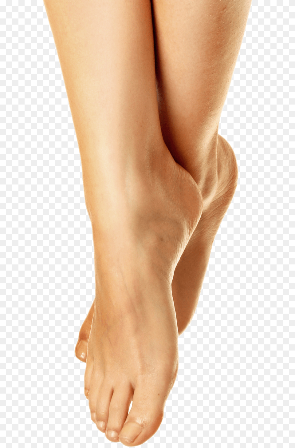 Akupunktur Lr, Ankle, Body Part, Person, Adult Free Png Download