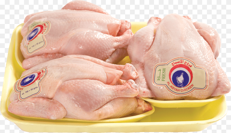 Al Chicken Baby Chicken Butcher, Food, Meal, Animal, Bird Free Png Download